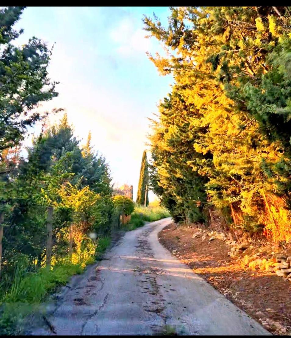 Donna Caterina House, Holiday Villa Pietraperzia 외부 사진